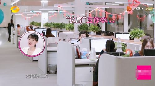 明星工作室對比 王鷗簡樸內景與宋茜豪華氣派的鮮明反差